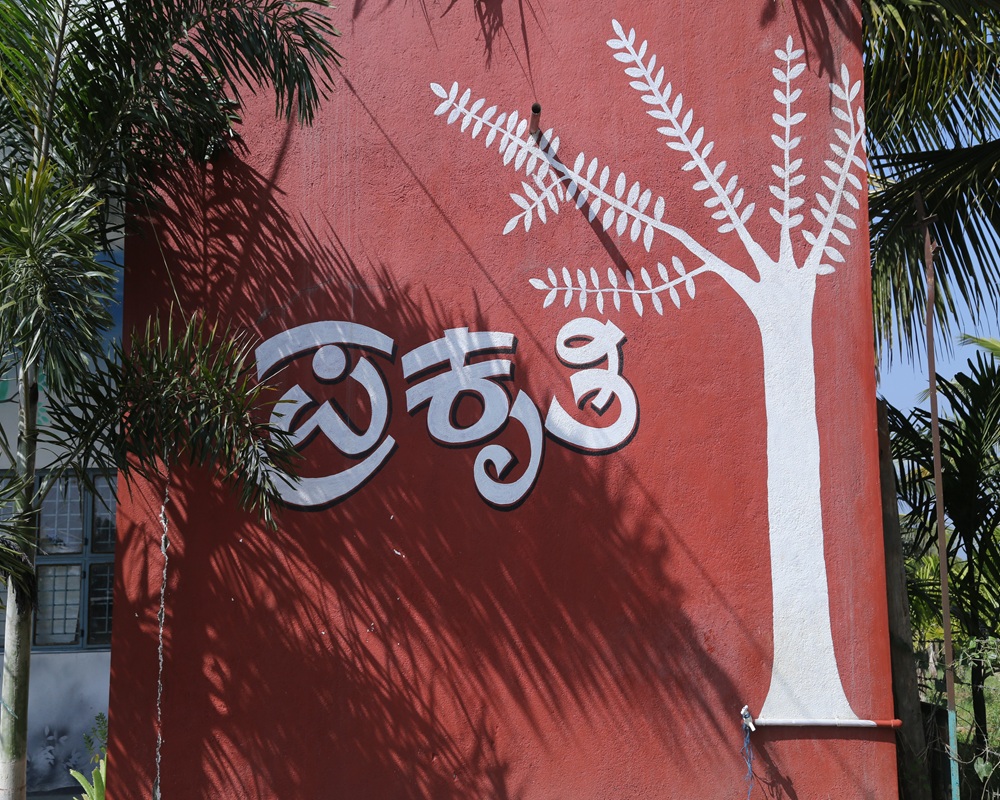 About our school